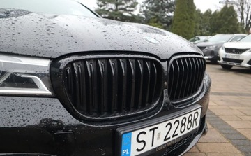 BMW Seria 7 G11-G12 Sedan 730d 265KM 2016 BMW Seria 7 BMW 730d xDrive M pakiet lasery, s..., zdjęcie 10