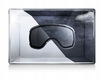 Лыжные очки UVEX Downhill 2100 CV - Colorvision оранжевый