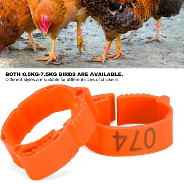 100 шт. Кольцо для ножки курицы и утки.