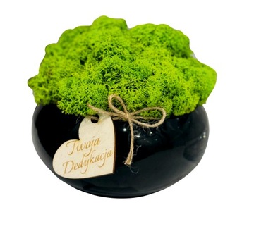 DRZEWKO SZCZĘŚCIA chrobotek MECH BONSAI na prezent święta z dedykacją