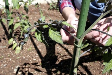 ОПОРА СТАЛЬНАЯ С ПОКРЫТИЕМ Металлическая опора для садового столба 1,1х90см 10шт.