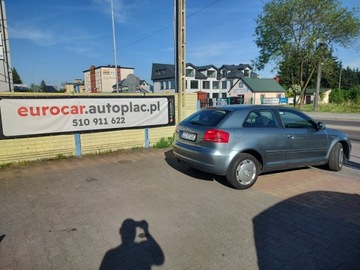 Audi A3 8P Hatchback 3d 1.6 102KM 2008 Audi A3 1.6 MPi 102KM Klimatronic, zdjęcie 2