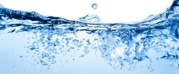 Биологические таблетки для септиков 12+4 шт БЕСПЛАТНО