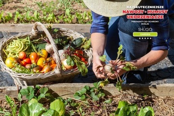 Удобрение овощное 25 кг ШУГО