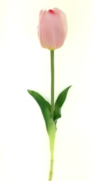 TULIPAN GUMOWY RÓŻOWY 46 cm W DOTYKU jak ŻYWY PREMIUM