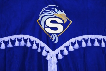 ОКОННЫЕ ШТОРЫ ДЛЯ КАБИНЫ ГРУЗОВИКА SCANIA R КОМПЛЕКТ