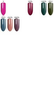 Установите 8x La'kier Varnish Base Top Labling Machine