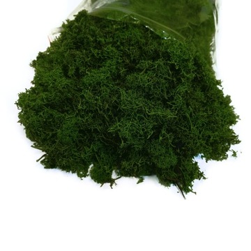 Подстилочный мох Финский олений мох 500г темно-зеленый