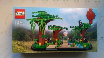 LEGO 40530 Посвящение Джейн Гудолл