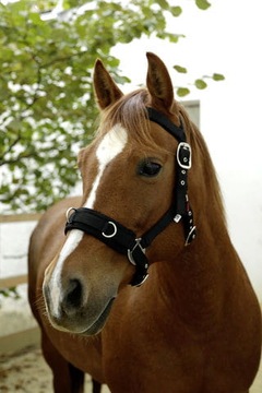 Kawecan KERBL Пластик черный COB