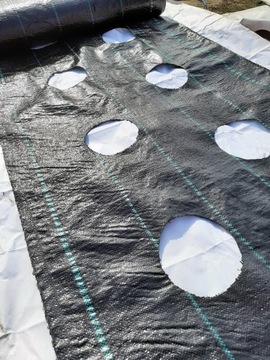 Ткань Агрот, большие ОТВЕРСТИЯ, 20 см, для рассады 1,1х50.