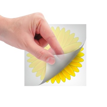 LEP NA MUCHY NA OKNO PUŁAPKA LEPOWA NA MUCHY MUSZKI OWOCÓWKI NO PEST 4 SZT