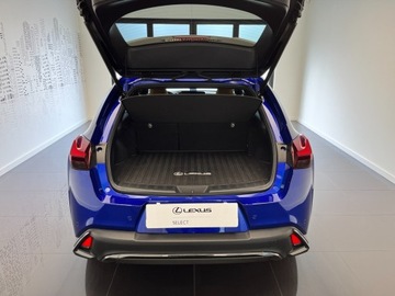 Lexus UX Crossover Facelifting 2.0 300h 199KM 2024 Lexus UX 300h F Sport Design 300h F Sport Edition,, zdjęcie 6