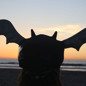 Чехол для шлема COOLCASC Animals Bat