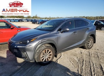 Lexus NX II 2021 Lexus NX 300 Base 2021 2.0l 2.0 Benzyna 235KM