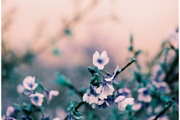 Пленка Ломохром Бирюза XR 100-400 135/36