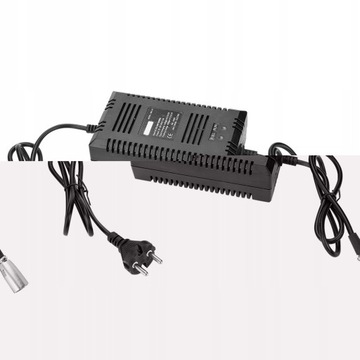 ŁADOWARKA AKUMULATOROWA ROWER ELEKTRYCZNY 36V