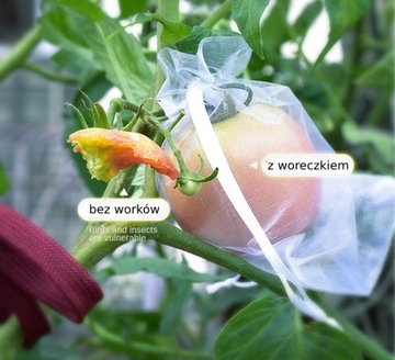 СУМКИ-ЧЕХЛЫ ДЛЯ ФРУКТОВ, ОВОЩЕЙ, ВРЕДИТЕЛЕЙ 100 шт.