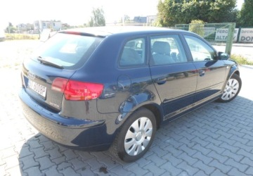 Audi A3 8P Hatchback 3d 1.9 TDI 105KM 2006 Audi A3 Sportback Audi A3 II (8P) sportbag 1.9 Diesel 105KM, zdjęcie 3