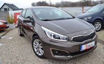 Kia Ceed II Hatchback 5d Facelifting 1.6 GDI 135KM 2018 Kia Ceed 1.6 - BEZWYPADKOWY - Bogata wersja - tuv 2027 - Super Stan 1.6, zdjęcie 10