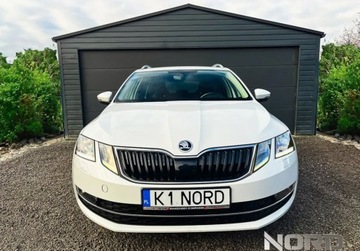 Skoda Octavia III Kombi Facelifting 2.0 TDI 184KM 2019 Skoda Octavia Bezwypadkowa, FV23, 4x4, Automat DSG, KredytowanieLeasing,, zdjęcie 3