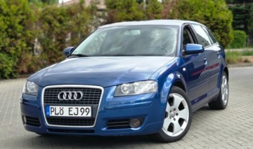 Audi A3 8P Hatchback 3d 1.9 TDI 105KM 2004 Audi A3 Sportback 1,9TDI 105 KM Alu Klima Import Raty Oplaty ASO 1.9