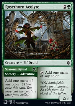 Karta Magic MTG Rosethorn Acolyte // Seasonal Ritual