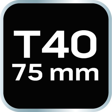 Бита TORX T40 x 75 мм, S2 x 2 шт. NEO.
