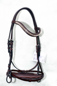 Профилированная анатомическая команда полна