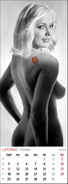 Сексуальные девушки, женщины, девушки, длинный календарь 2024, Femme Babes, Ladies