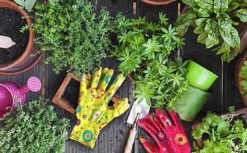 ПЕРЧАТКИ САДОВЫЕ ЖЕНСКИЕ ПЕРЧАТКИ РАБОЧИЕ ДЛЯ ПРОПОЛИВКИ САДА 8