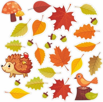 Naklejki na ścianę JESIEŃ LIŚCIE JEŻ 50x75cm LAS3