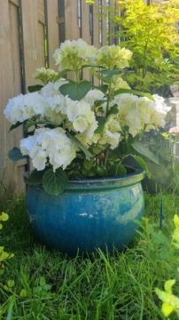 Красивый вазон 28 х 28 х 16 см, керамический, морозостойкий, БИРЮЗОВЫЙ, 28 см.