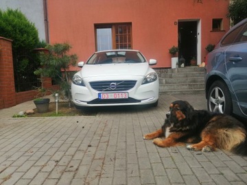 Volvo V40 II Hatchback 1.6 D2 115KM 2013 Volvo V40 II 1.6 D2 1,6, serwisowany, bezwypadkowy (MY 2014), zdjęcie 6