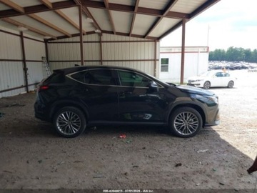 Lexus NX II 2023 Lexus NX 2023 LEXUS NX 350H PREMIUM 2.5 Hybryda 189KM, zdjęcie 7