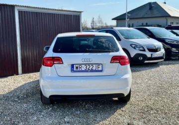 Audi A3 8P Hatchback 3d 1.6 TDI 105KM 2011 Audi A3 Sportback 1.6 TDI 105KM led climatronic 5 drzwi nowe sprzeglo 1.6, zdjęcie 2