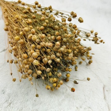 Сушеный лен - Натуральный - большой букет ~ 80-100г