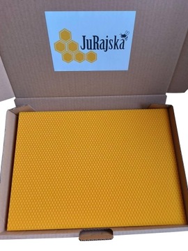 WĘZA PSZCZELA - WIELKOPOLSKA 5.4 - BADANA - 2,5 KG