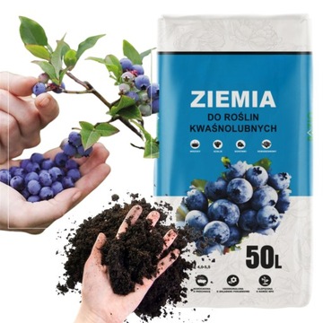 ZIEMIA DO ROŚLIN KWAŚNOLUBNYCH BORÓWEK SADOWNICZYCH 50L PODŁOŻE Z NAWOZEM