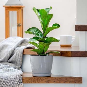 3x ЦВЕТОЧНЫЙ ВАЗ 20 СМ С КРЫШКОЙ С СЕРОЙ ПОДСТАВКОЙ