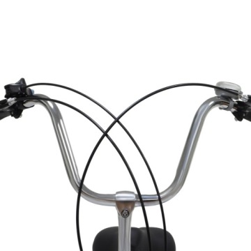 26-ДЮЙМОВЫЙ РЕАБИЛИТАЦИОННЫЙ ТРЕХКОЛЕСНЫЙ ВЕЛОСИПЕД С КОРЗИНОЙ