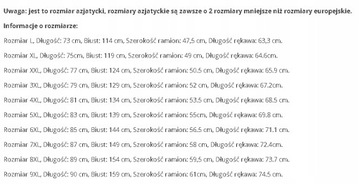 KURTKA MĘSKA ZIMOWA PUCHOWA Z KAPTUREM ROZ L-9XL