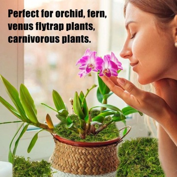 Mech Torfowiec SPHAGNUM Moss 25gram/1Litr Podłoże do storczyków ukorzeniacz