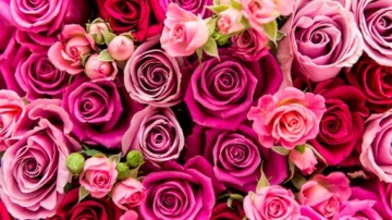 Цветочная коробка с мыльными цветами Подарок цветы мыло роза Велюровая коробка