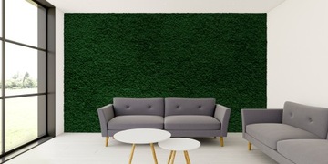 Финский мох 500г нетто, темно-зеленый