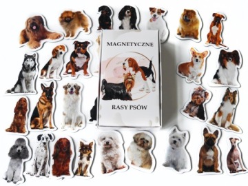 Магниты на холодильник Знакомимся с породами собак.