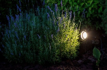 САДОВЫЙ ПОЛЕТ RO-1 GU10 IP65 ЧЕРНЫЙ 92x315мм КАБЕЛЬ 13 см ECO LIGHT