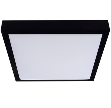 Oprawa Lampa sufitowa ścienna Plafon 2x E27 LED