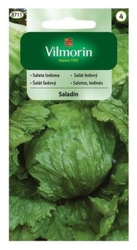 Sałata Saladin 0,2g LODOWA KRUCHA