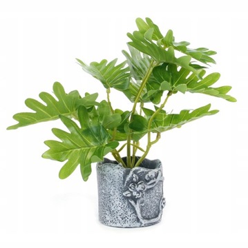 OZDOBNA ROŚLINA W DONICZCE 22CM Różne Kolory